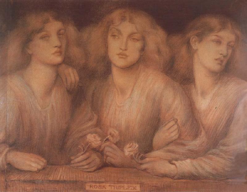 Dante Gabriel Rossetti Rosa Triplex Spain oil painting art